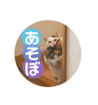みんなのなかよし3人組（個別スタンプ：14）
