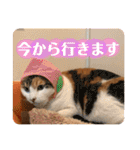 みんなのなかよし3人組（個別スタンプ：15）