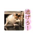 みんなのなかよし3人組（個別スタンプ：16）