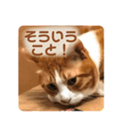 みんなのなかよし3人組（個別スタンプ：17）