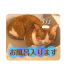 みんなのなかよし3人組（個別スタンプ：18）