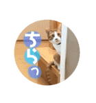 みんなのなかよし3人組（個別スタンプ：23）