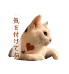 みんなのなかよし3人組（個別スタンプ：25）