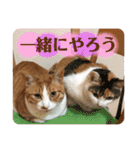 みんなのなかよし3人組（個別スタンプ：27）