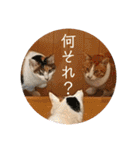 みんなのなかよし3人組（個別スタンプ：28）