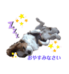 babychoco2（個別スタンプ：2）