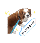 babychoco2（個別スタンプ：3）