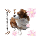 babychoco2（個別スタンプ：4）
