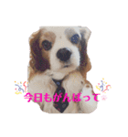 babychoco2（個別スタンプ：5）