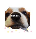 babychoco2（個別スタンプ：16）
