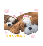 babychoco2（個別スタンプ：17）