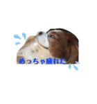 babychoco2（個別スタンプ：18）