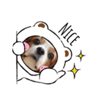 babychoco2（個別スタンプ：23）
