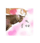 可愛い我が家のネコちゃん（個別スタンプ：21）
