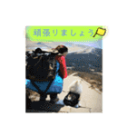 ポメラニアンまめししの敬語ver（個別スタンプ：15）