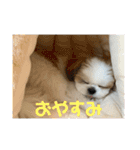 琥珀びより（個別スタンプ：2）