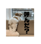 琥珀びより（個別スタンプ：4）
