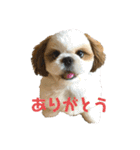 琥珀びより（個別スタンプ：7）