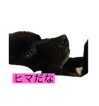 文ちゃん＠スタンプ（個別スタンプ：14）