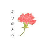 chercheuses おかしでおしゃべり（個別スタンプ：4）