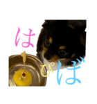 らぶりーちろる さーど（個別スタンプ：3）