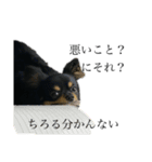 らぶりーちろる さーど（個別スタンプ：6）