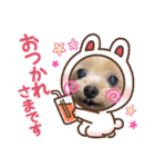 ヒメ＆COCO ＆モモ（個別スタンプ：2）