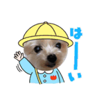 ヒメ＆COCO ＆モモ（個別スタンプ：3）