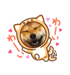 柴犬ルイ君♡（個別スタンプ：7）