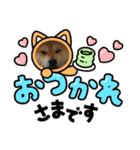 柴犬ルイ君♡（個別スタンプ：19）