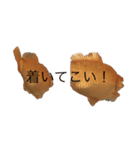 金魚2いいよ（個別スタンプ：4）