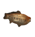 金魚2いいよ（個別スタンプ：5）