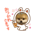 ポメラニアンの観察日記シリーズ1Puppy編（個別スタンプ：8）