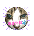 ドラエモン①（個別スタンプ：6）