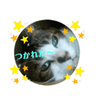 ドラエモン①（個別スタンプ：7）