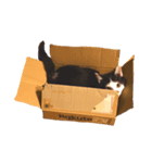 おむすびにぎりのすけ君（個別スタンプ：3）
