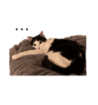 おむすびにぎりのすけ君（個別スタンプ：8）