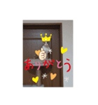 猫犬の1日（個別スタンプ：6）
