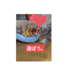 猫犬の1日（個別スタンプ：8）