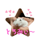ハムちゃんの独り言（個別スタンプ：3）