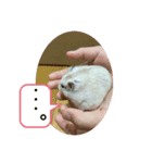 ハムちゃんの独り言（個別スタンプ：4）