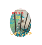 ハムちゃんの独り言（個別スタンプ：7）
