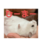ハムちゃんの独り言（個別スタンプ：8）