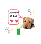ウェルシュテリア♡ジェリーさんの1日⑥（個別スタンプ：9）