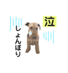 ウェルシュテリア♡ジェリーさんの1日⑥（個別スタンプ：18）