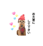 ウェルシュテリア♡ジェリーさんの1日⑥（個別スタンプ：23）