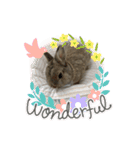 うさぎの小麦スタンプ（個別スタンプ：2）