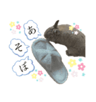 うさぎの小麦スタンプ（個別スタンプ：7）