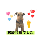 ウェルシュテリア ♡ジェリーさんの1日⑦（個別スタンプ：9）