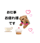ウェルシュテリア ♡ジェリーさんの1日⑦（個別スタンプ：13）